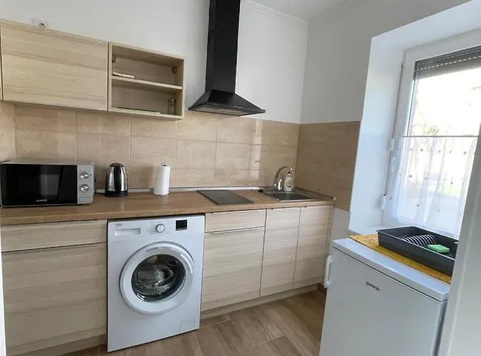 Apartament Dora Vendeghaz *